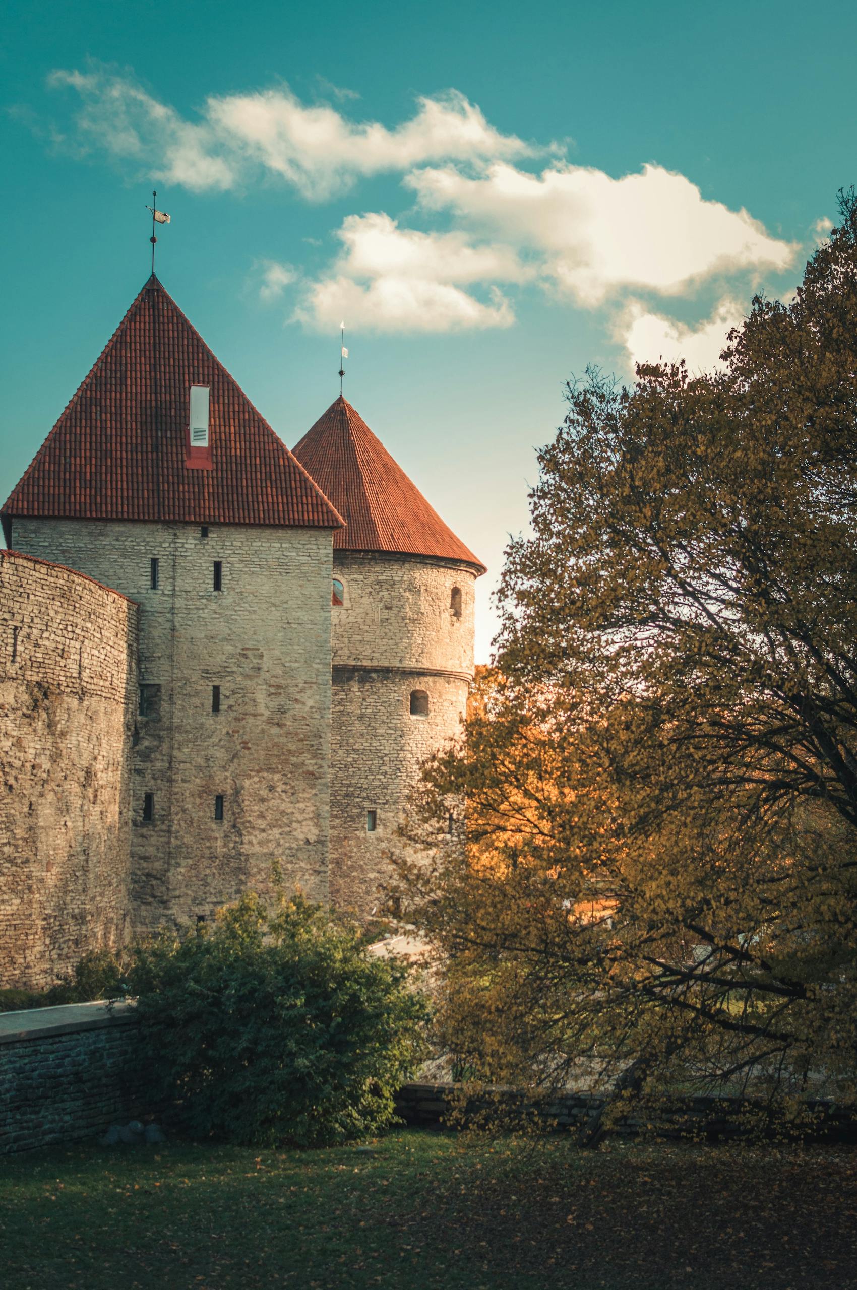 Viron suosituimmat kirjailijat